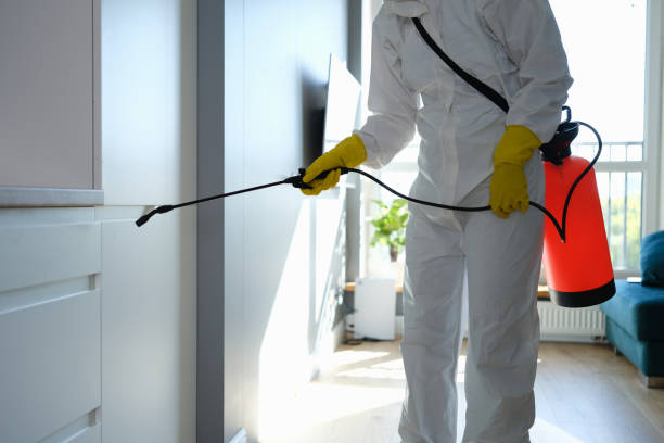 Best Local Mold Removal Service  in Sherrill, NY